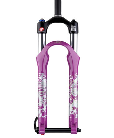 2010 Rock Shox Argyle 409
